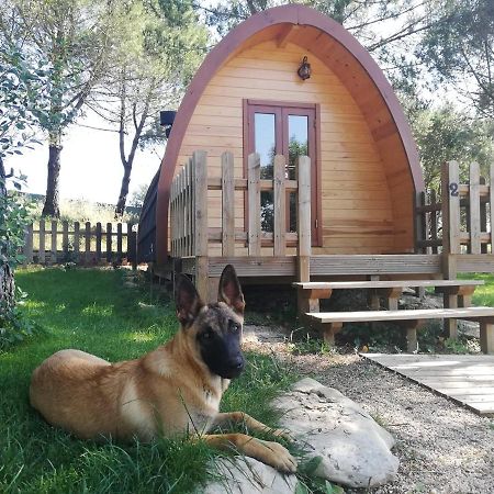Glamping Sintra Hotel Bagian luar foto